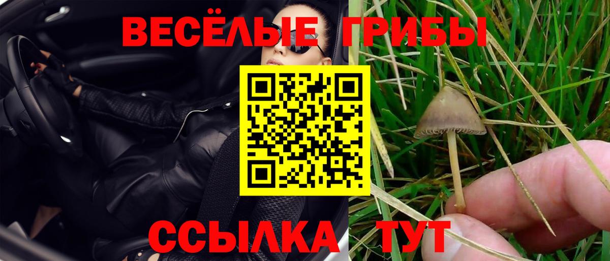 Галлюциногенные грибы прущие грибы Тверь